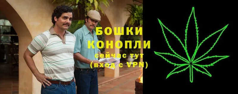 купить наркоту  Пушкино  Шишки марихуана THC 21% 